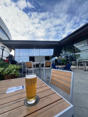 Harmonic Brewing Thrive City by null
