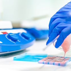 Strive Compounding Pharmacy