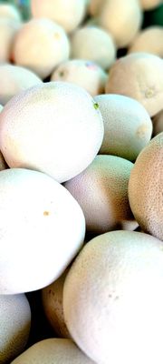 Larry's Produce by null