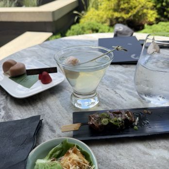 Rooftop At Nobu Hotel Chicago - Beef skewer and miso black cod - Japanese Near Me - Chicago, Illinois