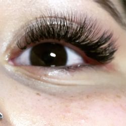 Celebrity Lashes