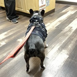 Marshall Pet Care Clinic
