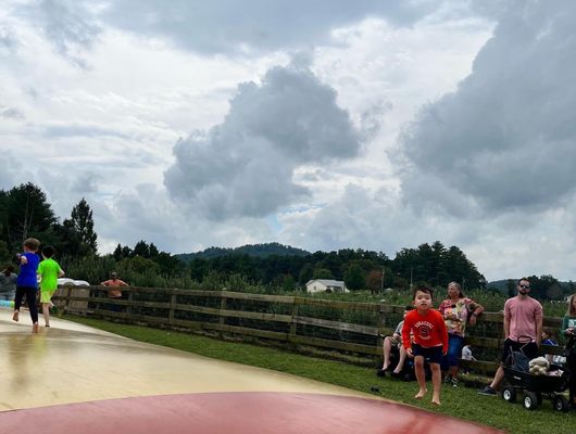 Justus Orchard by null