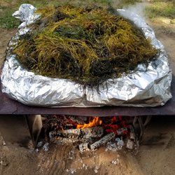 Swan Island Maine IF&W - Lobster bake!