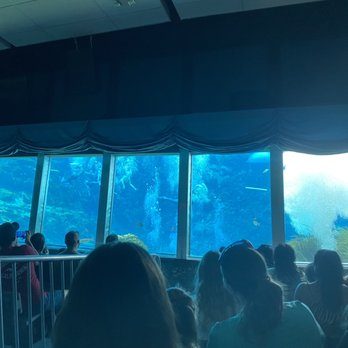 Weeki Wachee Springs - Mermaid show with ac - Amusement Parks Near Me - Spring Hill, Florida Weeki Wachee Springs - Mermaid show with ac - Amusement Parks Near Me - Spring Hill, Florida