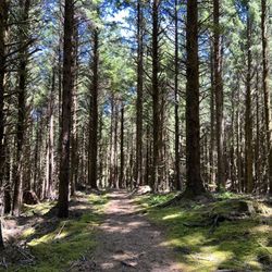 Agnes Creek Open Space - North Trail