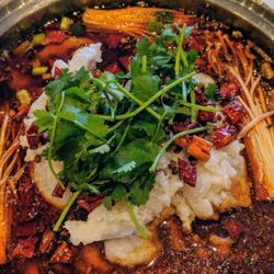 Success Chinese Takeaway - Chinese dish