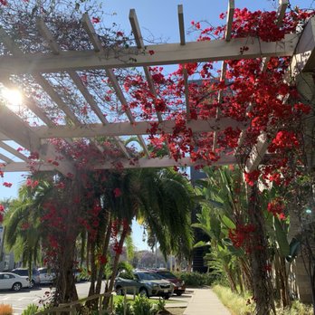 Curson Café - Cafes Near Me - Los Angeles, California Curson Café - Cafes Near Me - Los Angeles, California