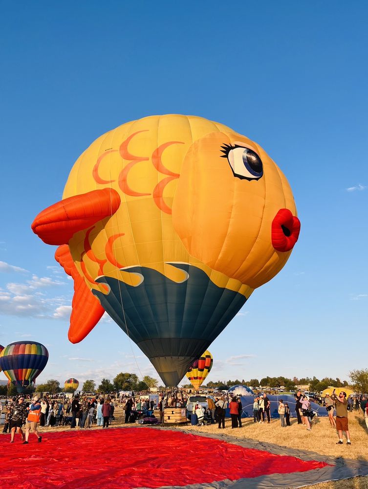 Great Reno GREAT RENO BALLOON RACE - Updated July 2026 - 485 Photos & 83 Reviews ...