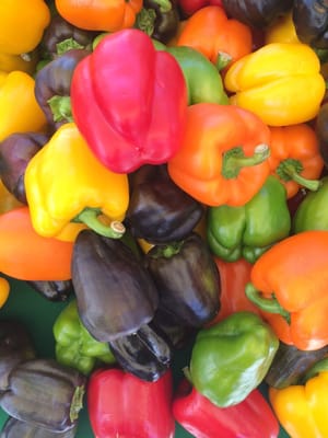 Bixby Park Local Harvest Farmers Market by null