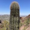 Camelback Mountain gift card