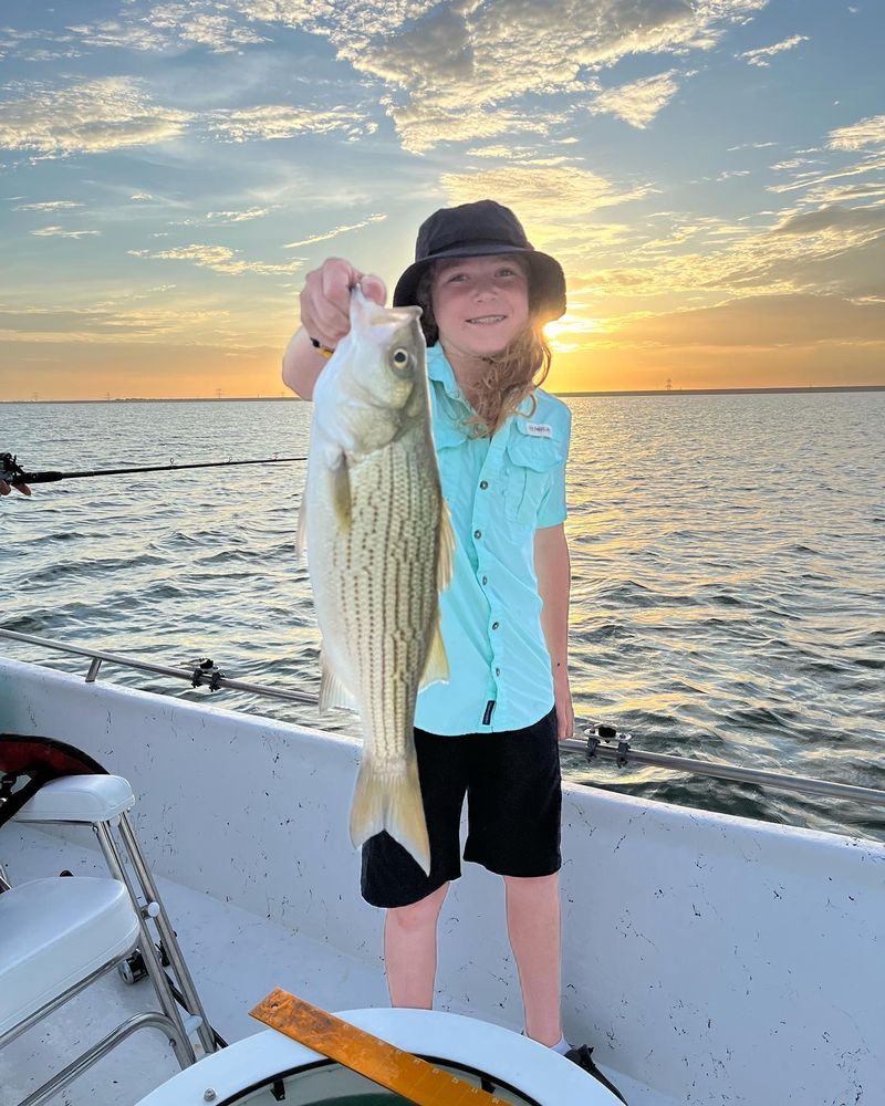 JRODS GUIDE SERVICE Updated September 2024 196 Photos 10411 US