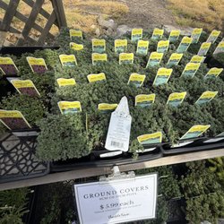 Vandula Farms