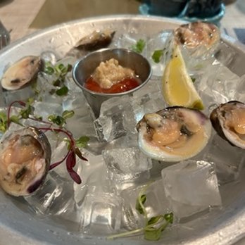 Boca Fish House - Clams - Seafood Near Me - Boca Raton, Florida Boca Fish House - Clams - Seafood Near Me - Boca Raton, Florida