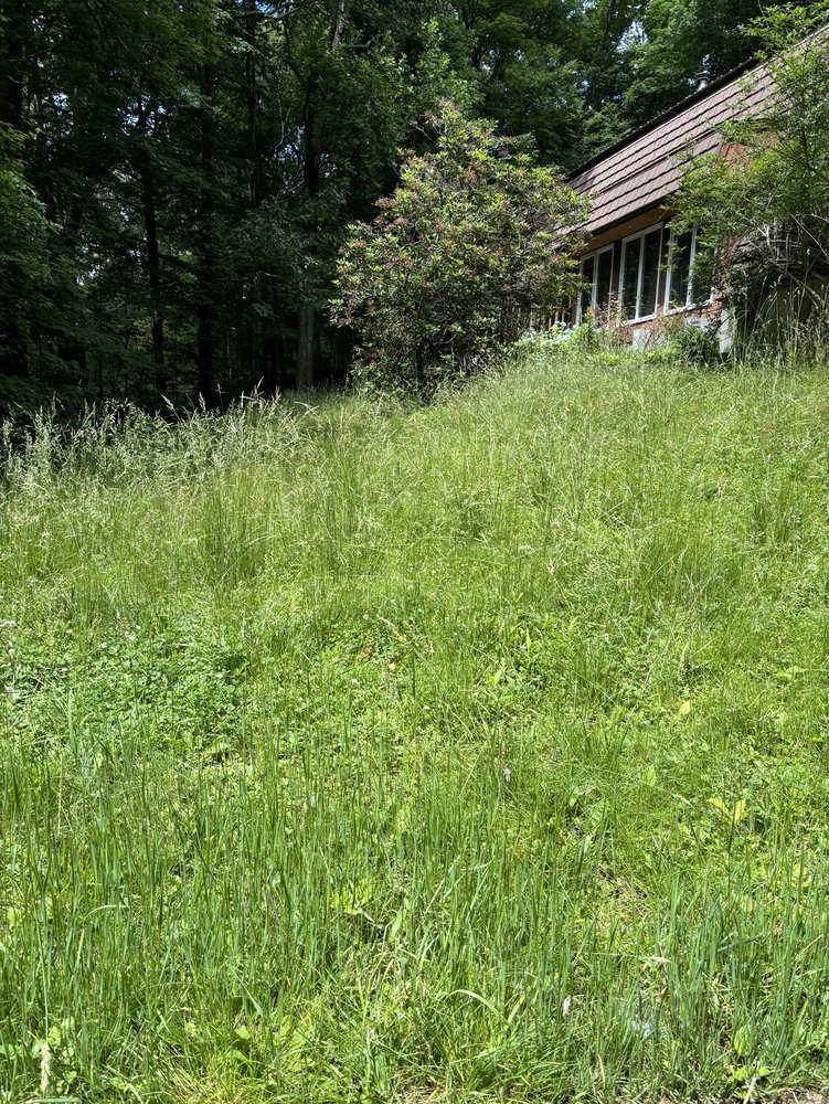 TLC PRO LANDSCAPING Updated July 2024 16 Photos West Haven