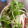 Pho Bac Noodle Palace