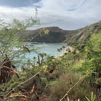 Oahu Nature Tours - Tours Near Me - Honolulu, Hawaii