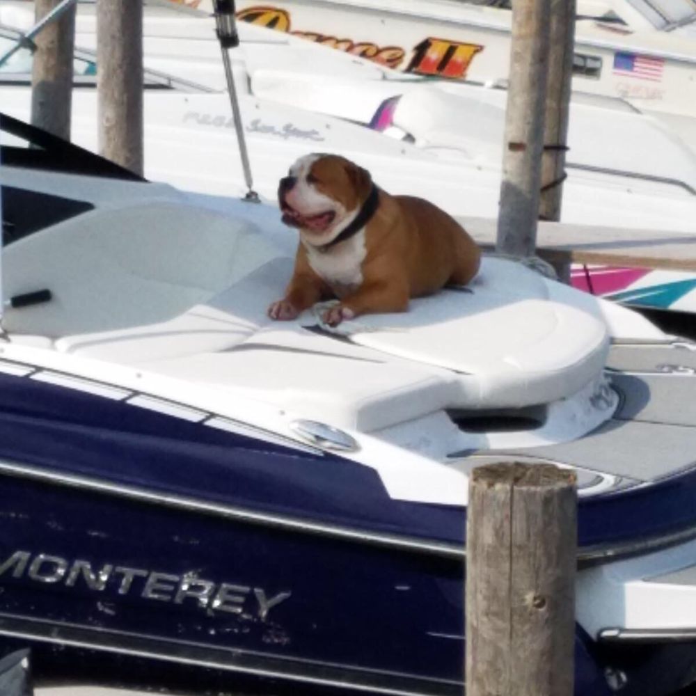 Blarney Island - Bars Near Me - Antioch, Illinois