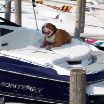 Blarney Island - Bars Near Me - Antioch, Illinois