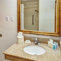 Hampton Inn Winchester - Guest room bath