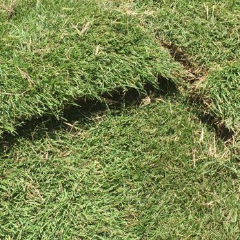 J&J Sod Company - Lawn Services Near Me - Dallas, Texas