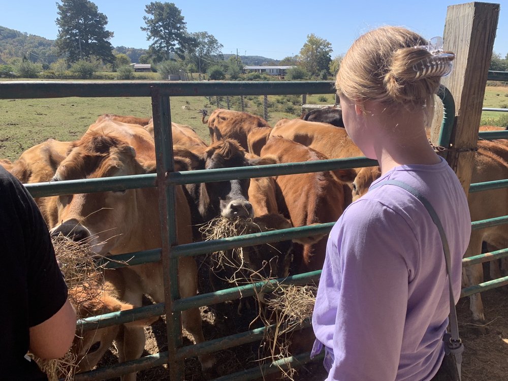 CARLTON FARMS Updated August 2024 24 Photos 1276 Cartersville Hwy
