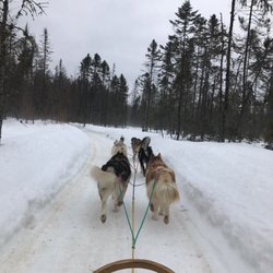 Expedition Wolf - Off to the races!