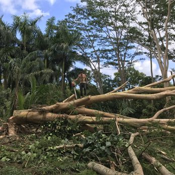 Artisan Tree Masters - Tree Services Near Me Artisan Tree Masters - Tree Services Near Me