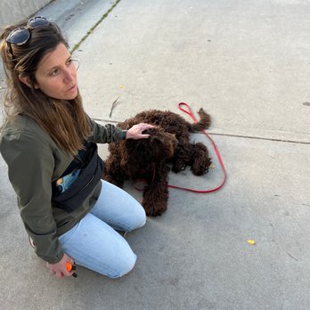 OffLeash SoCal - Pet Training Near Me - Santa Monica, California
