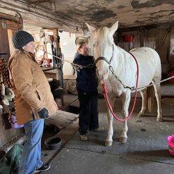 Hoof to Heart - VETS