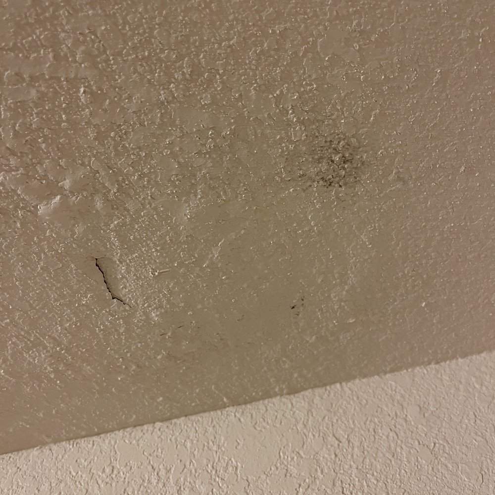Tropicana Laughlin - A Caesars Rewards Destination - Hole above the shower head and black mold - Hotels Near Me - Laughlin, Nevada Tropicana Laughlin - A Caesars Rewards Destination - Hole above the shower head and black mold - Hotels Near Me - Laughlin, Nevada
