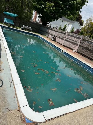 Total Care Pro Services on Yelp