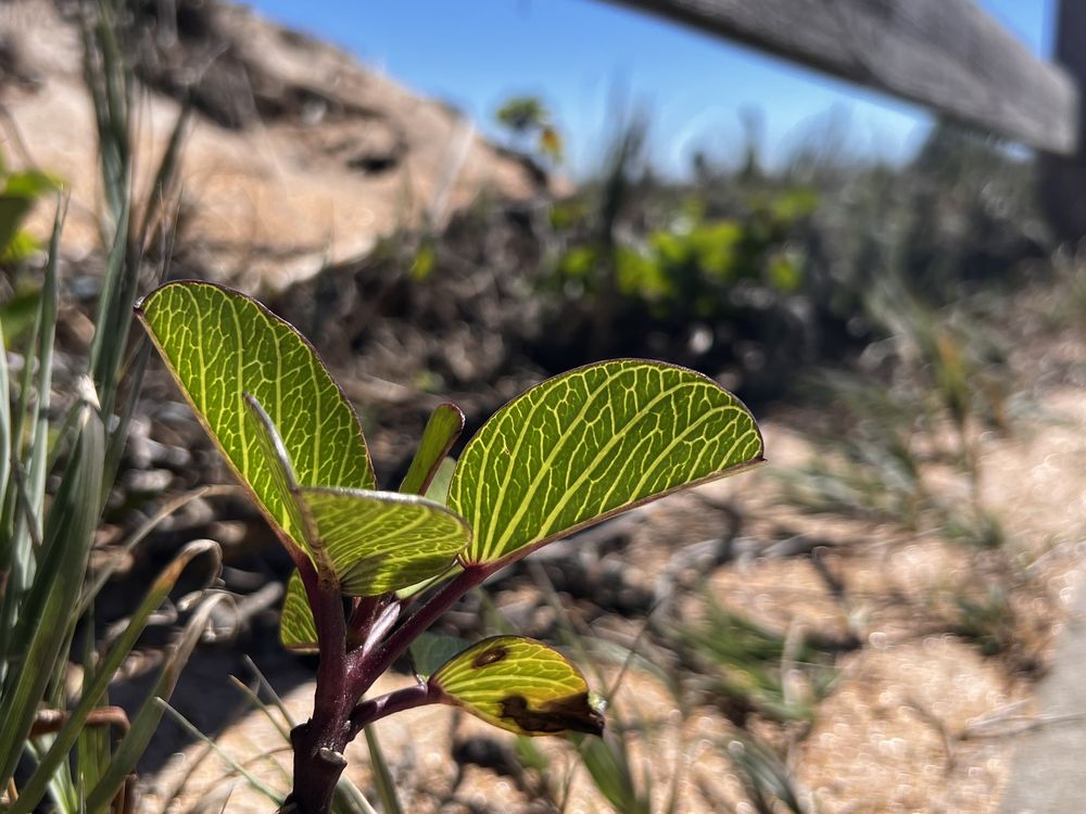 North Peninsula State Park Image