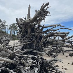 Black Rock Beach