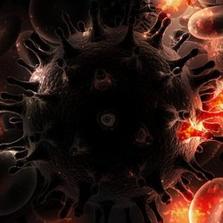 Paradise Computer Consulting - Got a Virus? We specialize in removal and preventing further infections of your machine.