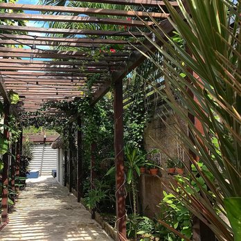 Howlita - Hotel grounds - Hotels Near Me - Ejido, ROO