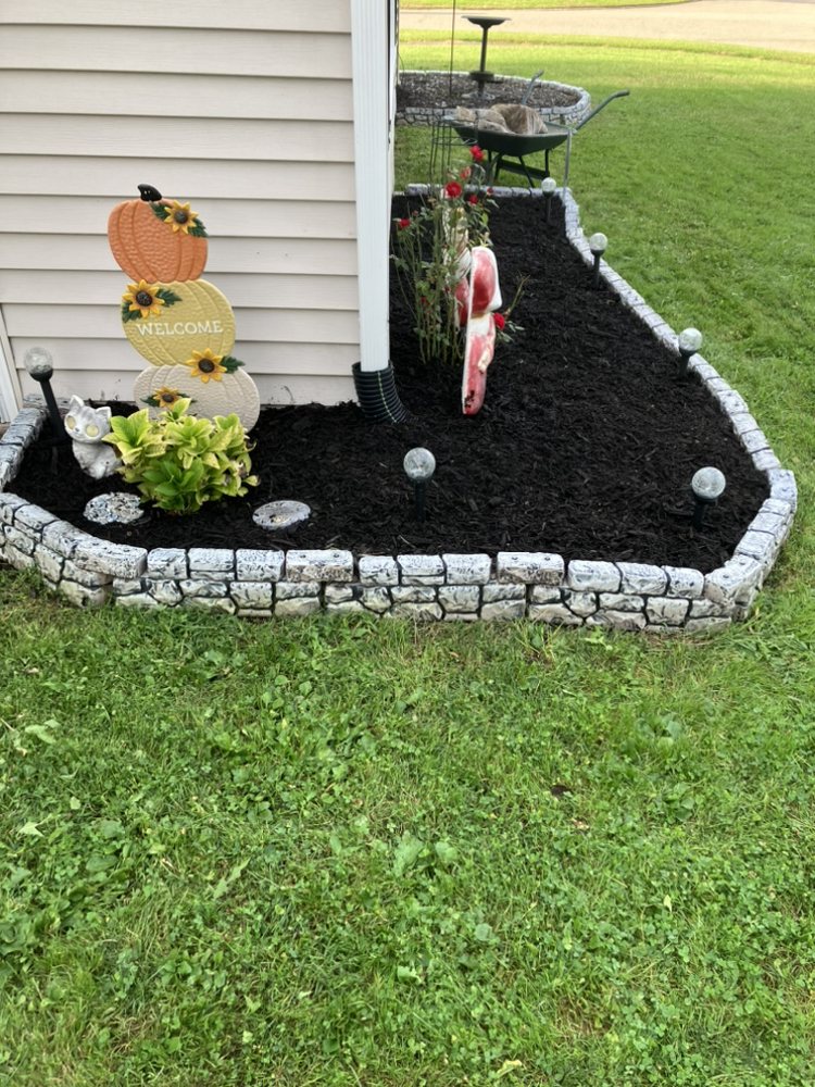 Divine Property Services - veterans service organization in Canton, OH