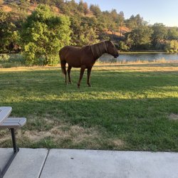 Klamath Ranch Resort/Blue Heron RV Park - This was great