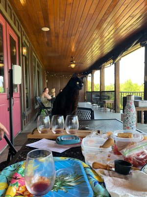 Saudé Creek Vineyards by null