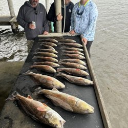 Big Dog Fishing Charters - Redfish were on fire!