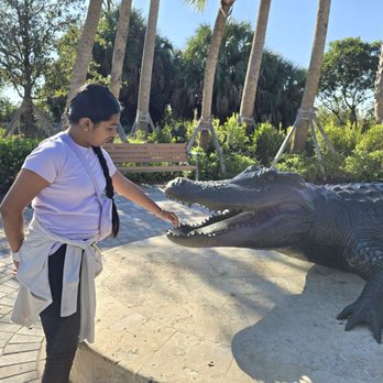 Everglades Elevated Boardwalk - Landmarks & Historical Buildings Near Me - Weston, Florida