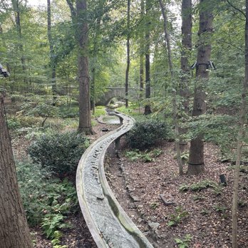 Atlanta Botanical Garden - Botanical Gardens Near Me - Atlanta, Georgia Atlanta Botanical Garden - Botanical Gardens Near Me - Atlanta, Georgia