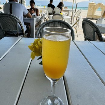 Venice Restaurant - Bellini - Pizza Near Me - Hollywood, Florida Venice Restaurant - Bellini - Pizza Near Me - Hollywood, Florida