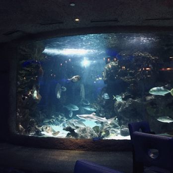 Aquarium Restaurant - Aquarium - Seafood Near Me - Nashville, Tennessee Aquarium Restaurant - Aquarium - Seafood Near Me - Nashville, Tennessee