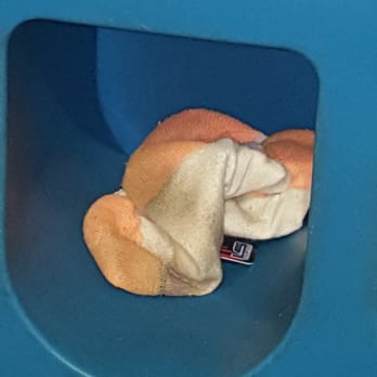 Chuck E. Cheese - Dirty socks! - Pizza Near Me - Batavia, Illinois