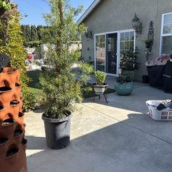Hacienda Growers Nursery - Plant