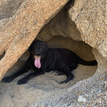 Mobius Arch Loop Trail - Hiking Near Me