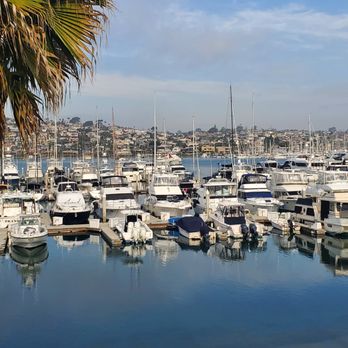 Best Western Plus Island Palms Hotel & Marina - View of the marina from our room. - San Diego, CA