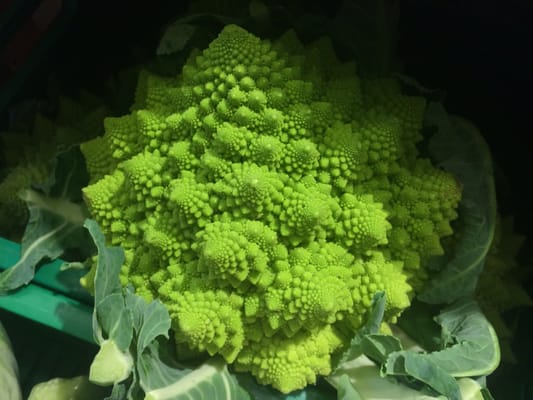 Gutta på Haugen by null