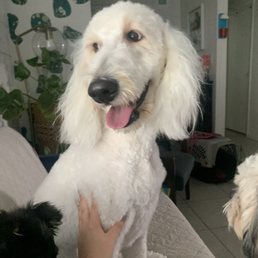 Delilah after being groomed